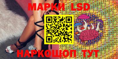 эйфоретик Гатчина
