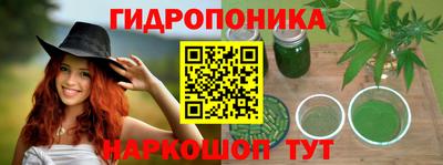 эйфоретик Гай