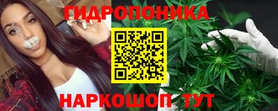 эйфоретик Гай