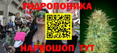 эйфоретик Гай