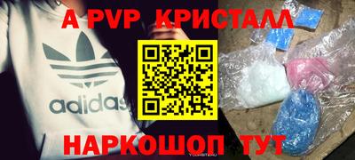 эйфоретик Гай