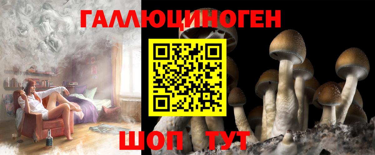Галлюциногенные грибы Cubensis Орехово-Зуево